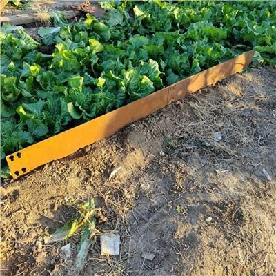 Цортен Стеел Гарден Еддинг Беаутифул Бордерс