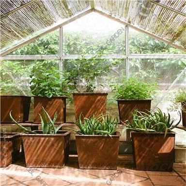 Подигнуте металне кутије за садњу