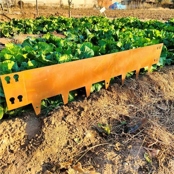 Steel Metal Garden Landscape Edging