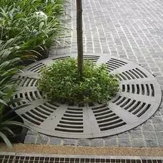 Modern Metal Tree Cover Grating
