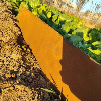 Прелепа патина пејзажна ивица