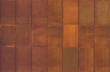 ЦОРТЕН ПЛАТЕС