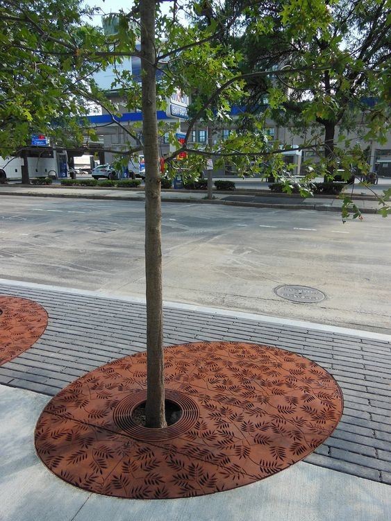 Tree Grate With Guard