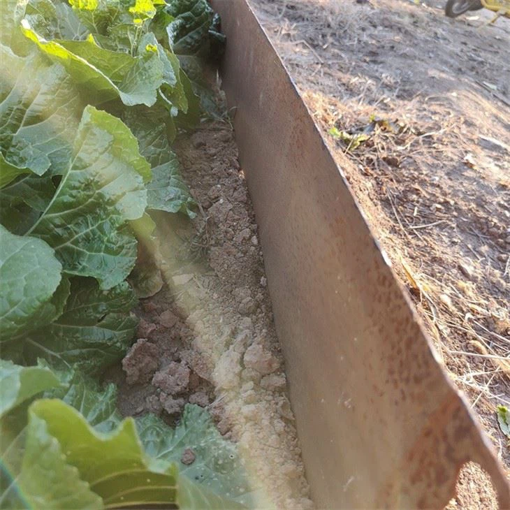 Weather-resistant Corten Steel Garden Edging high quality